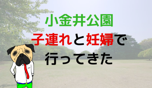 小金井公園に2.4.7.9才「子連れ」の「妊婦」が行った場合の注意点とオススメスポット